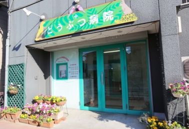 病院　いのかしら公園動物病院（病院）まで376m