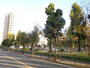 公園　十三公園（公園）まで500m