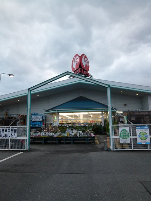 その他　コメリまで500m