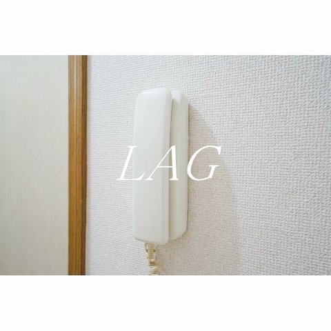 セキュリティ　インターホンです。
