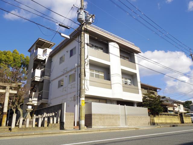 MS桜井川合