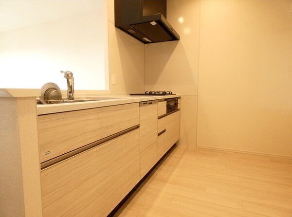 パークホームズLaLa名古屋みなとアクルスGSのキッチン写真