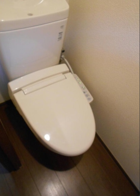 都営大江戸線 落合南長崎駅 徒歩4分 2階建 築11年のトイレ写真