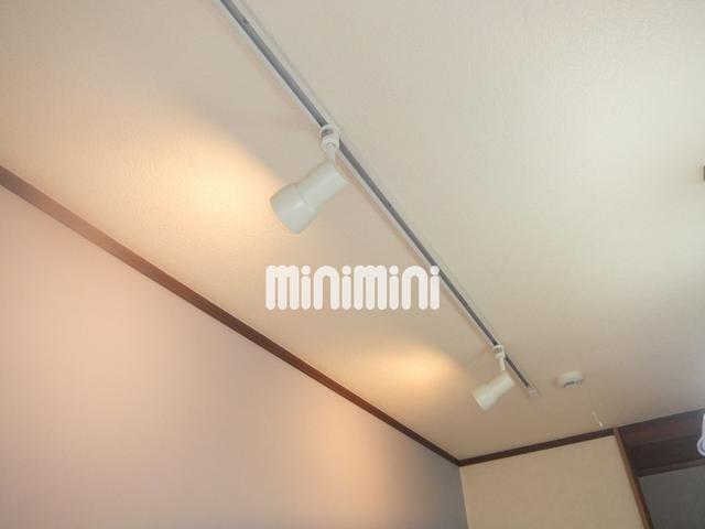 その他　スポットライト