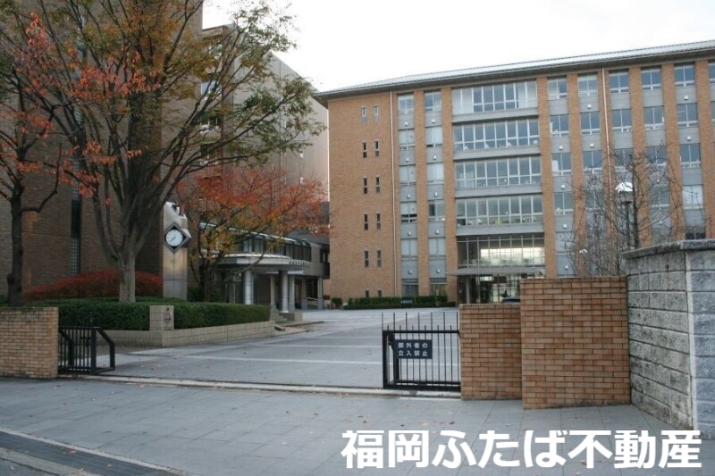 【Caisse大橋の大学・短大】