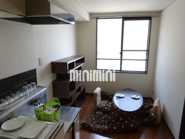 居室・リビング　装飾は無しです