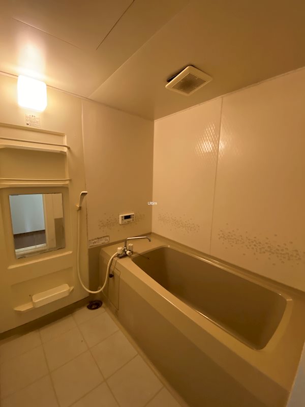 バス・シャワールーム　※同タイプの他のお部屋です