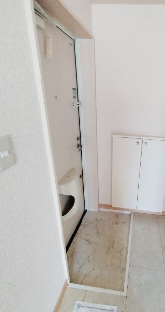 玄関　同仕様タイプ