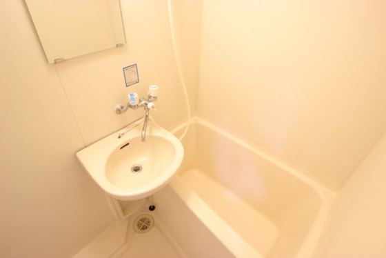 バス・シャワールーム　※別部屋の写真です