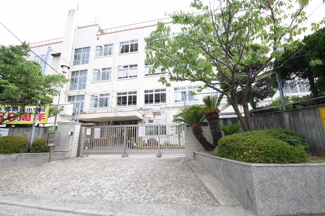 小学校　広島市立南観音小学校（小学校）まで500m