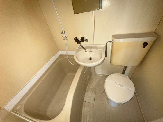 バス・シャワールーム　※別号室の写真となります