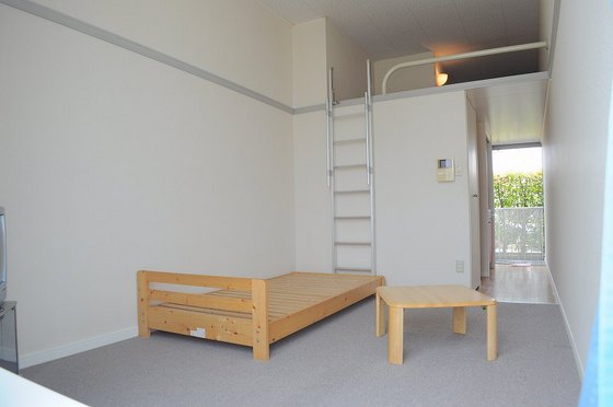 居室・リビング　※別号室の写真です