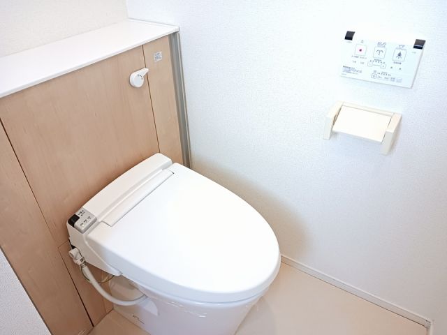 ブエナ・スエルテIIのトイレ写真