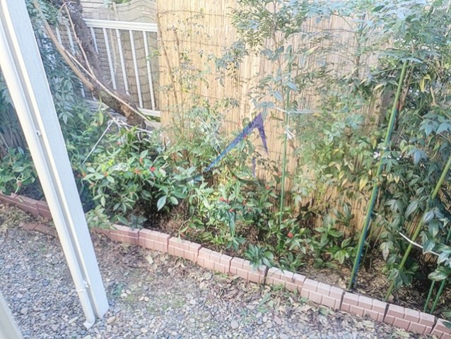 バルコニー　バルコニーです。