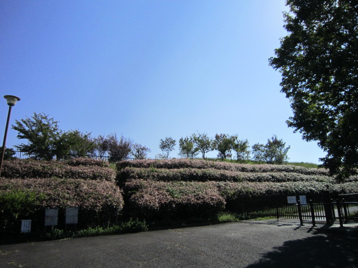 公園　滝ノ水中央公園（公園）まで740m