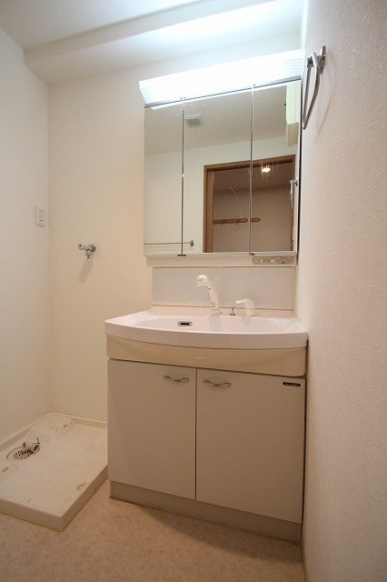 洗面設備　同物件、別号室のものです。