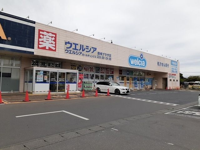 ドラックストア　ウェルシア（ドラッグストア）まで1500m