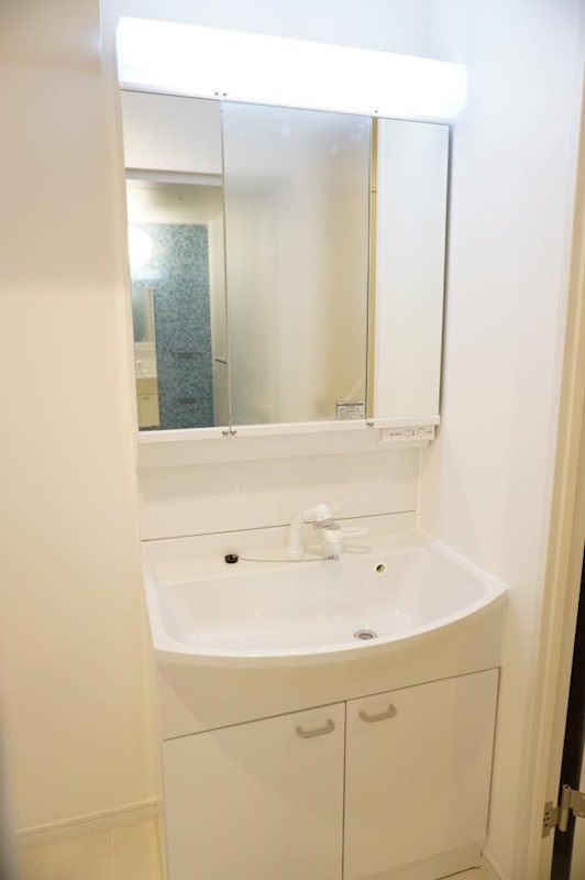 洗面設備　お掃除にも便利なシャワードレッサー