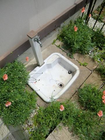 その他　ペット足洗い場