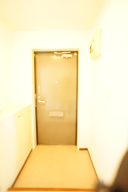 玄関　お部屋の玄関です♪シューズボックス付♪