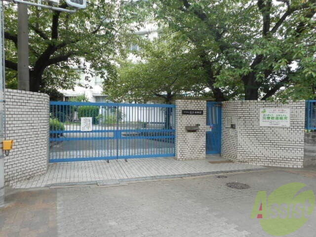 小学校　豊新小学校（小学校）まで593m