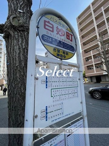 その他　白妙町（その他）まで208m