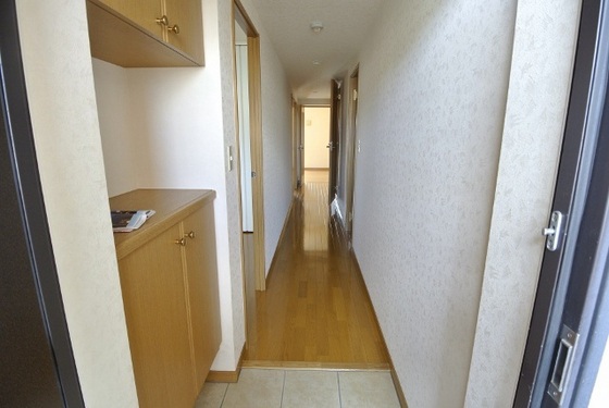 玄関　※他号室の写真です