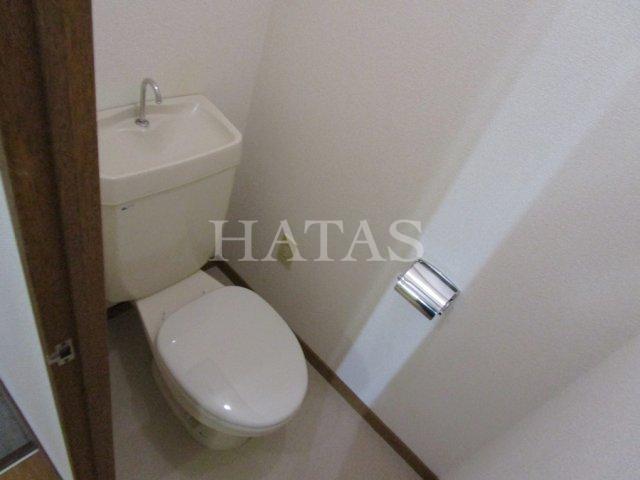 トイレ　同物件別部屋です。