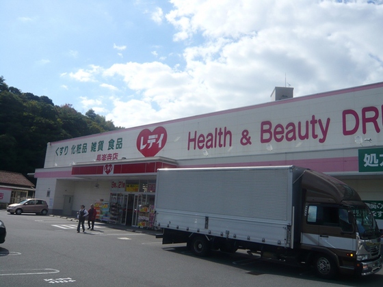 ドラックストア　くすりのレデイ長楽寺店（ドラッグストア）まで1493m