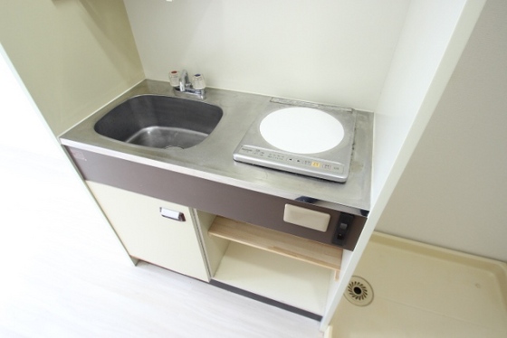 キッチン　※別号室の写真です