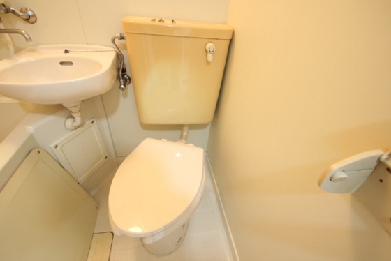 トイレ　※別号室の写真です