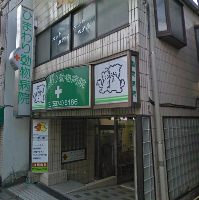 病院　ひまわり動物病院（病院）まで1111m
