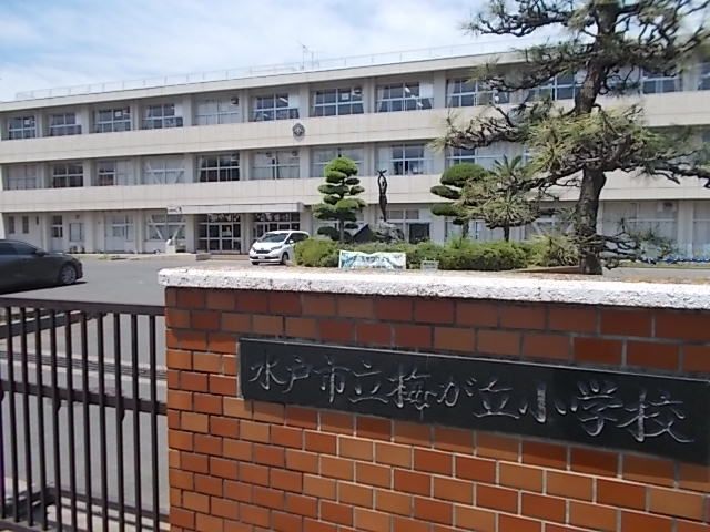 小学校　梅が丘小学校（小学校）まで650m