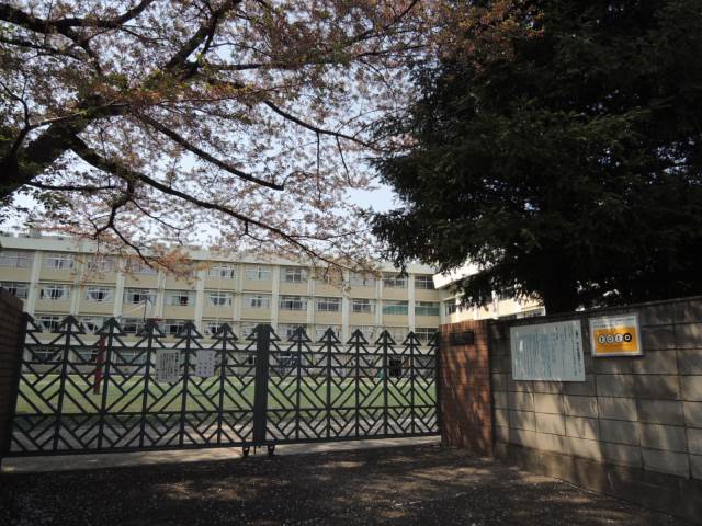 小学校　常盤台小学校（小学校）まで334m