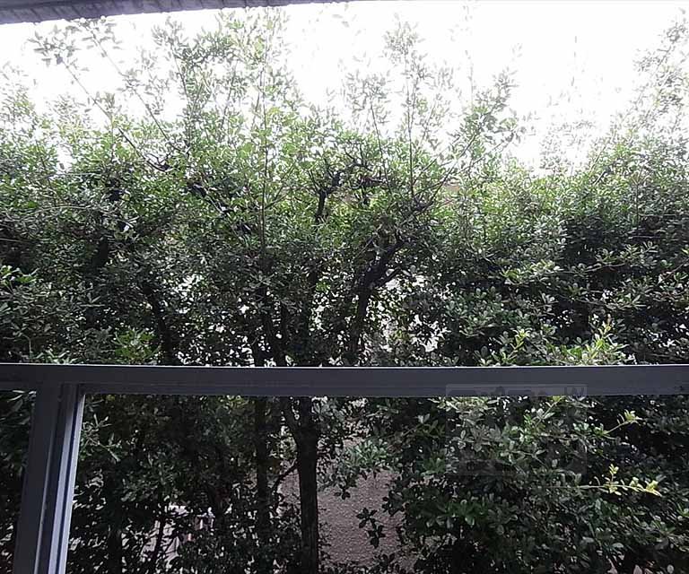 眺望　２階からの参考景色