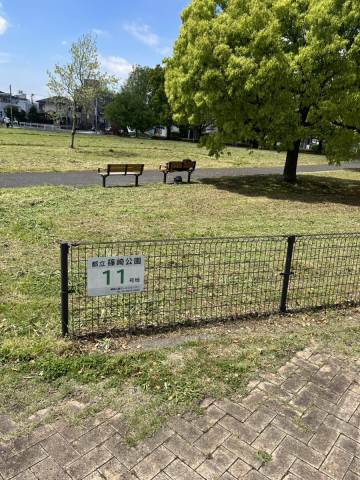 公園　都立篠崎公園11号地（公園）まで674m