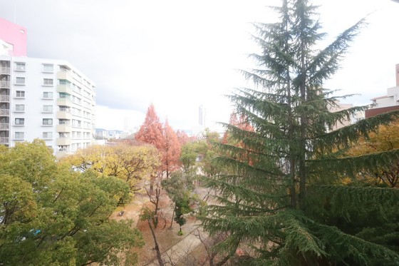 眺望　※別部屋の写真です