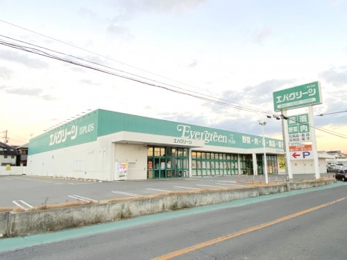 スーパー　エバグリーンプラス和泉芦部店（スーパー）まで1577m