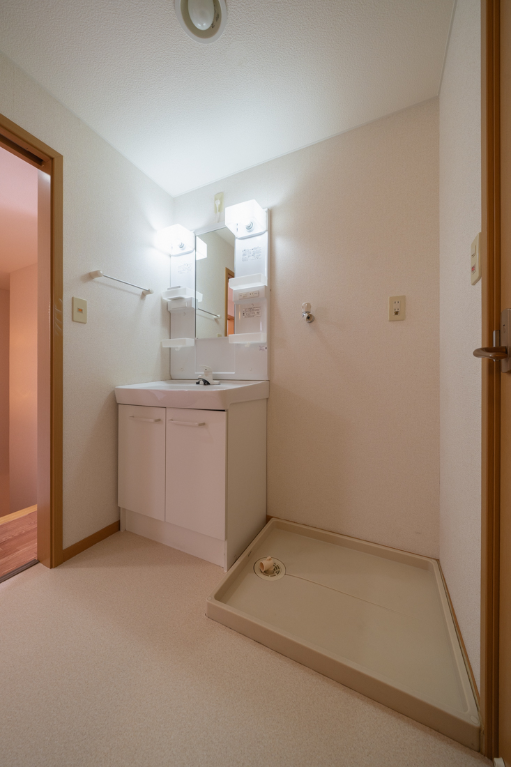 洗面設備　洗面化粧台＋洗濯機置き場