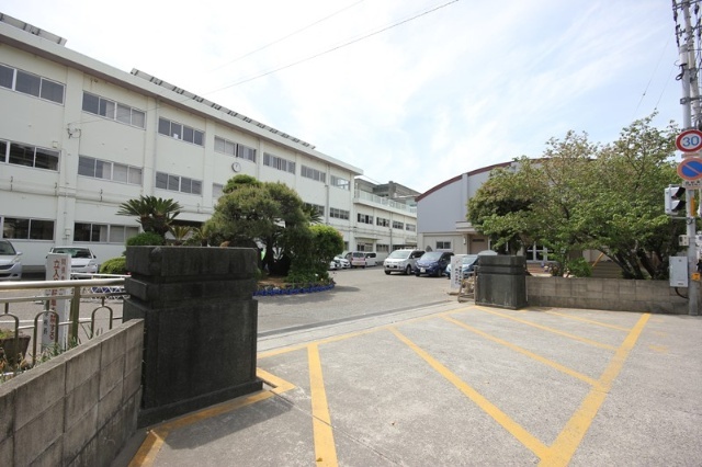 小学校　徳島市立八万小学校（小学校）まで1018m
