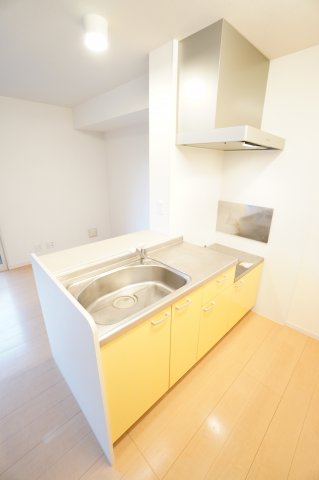 キッチン　※同物件・反転タイプの写真です。