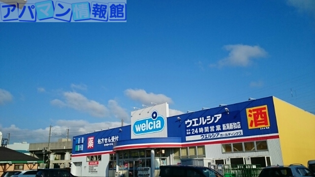 ドラックストア　ウエルシア新潟新和店（ドラッグストア）まで780m