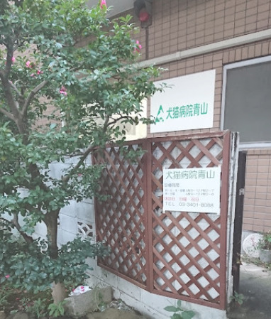 病院　犬猫病院青山（病院）まで782m