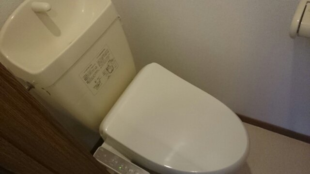 トイレ　トイレも気になるポイント