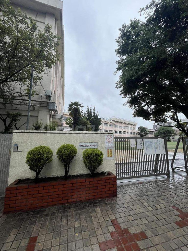 小学校　板橋区立板橋第六小学校（小学校）まで500m