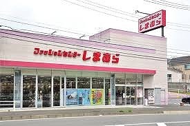 その他　しまむら上野台店（その他）まで1000m