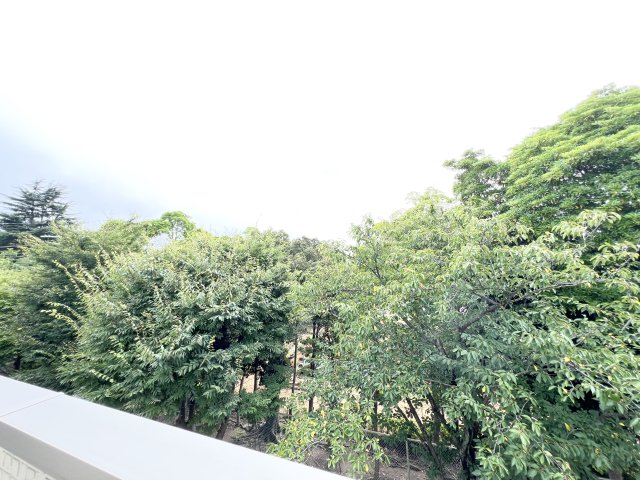 眺望　※別部屋参考写真