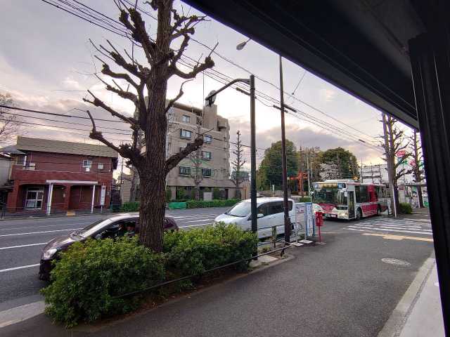 眺望