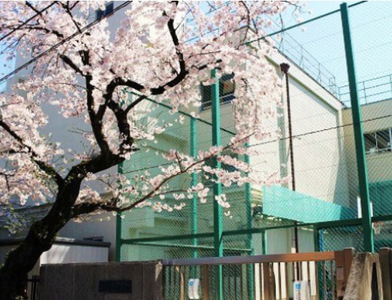 中学校　新宿区立牛込第三中学校（中学校）まで676m