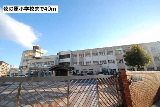 小学校　牧の原小学校（小学校）まで40m